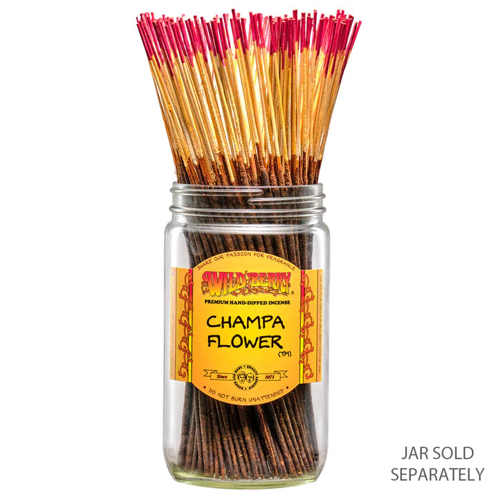 Champa Flower Incense 10 Sticks - Nag Champa Style | Friendly Finds