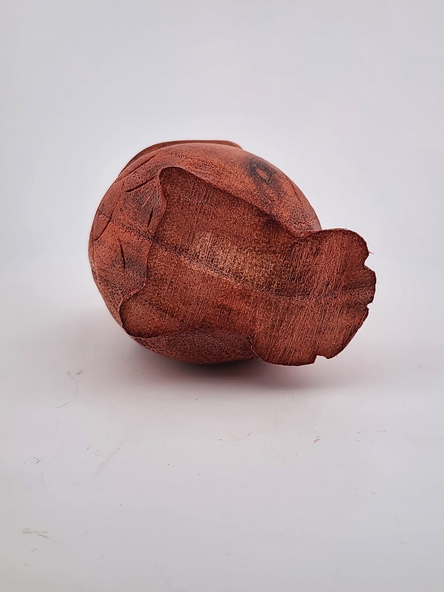 Wooden turtle figurine on a white background