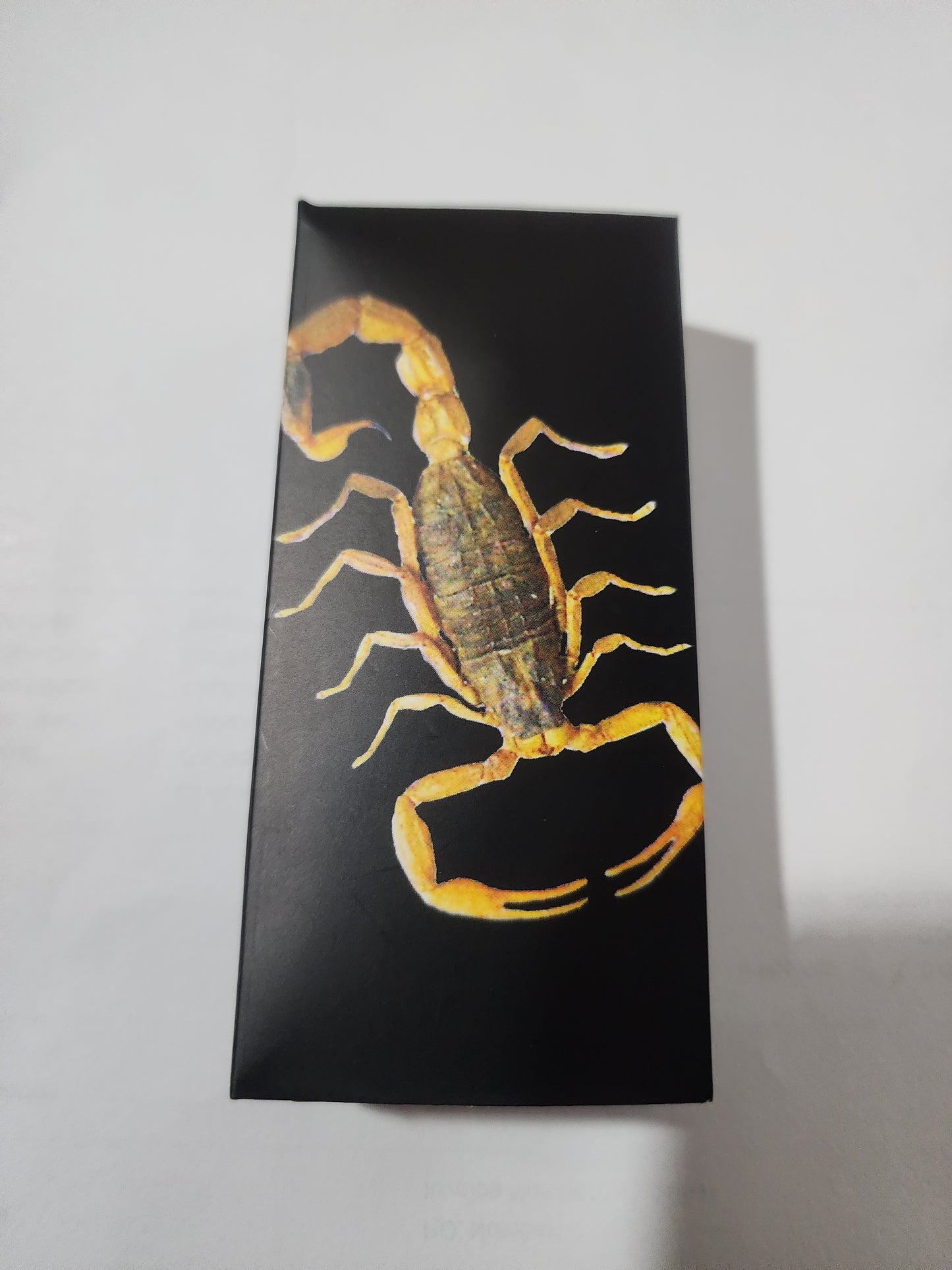 Glow-in-the-Dark Spider Resin Pendant Necklace - Real Specimen with Web