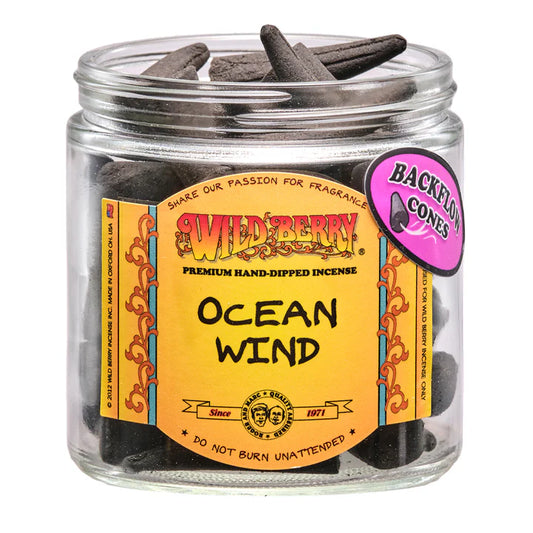 Backflow Incense Cones – 5 Pack (Ocean Wind)