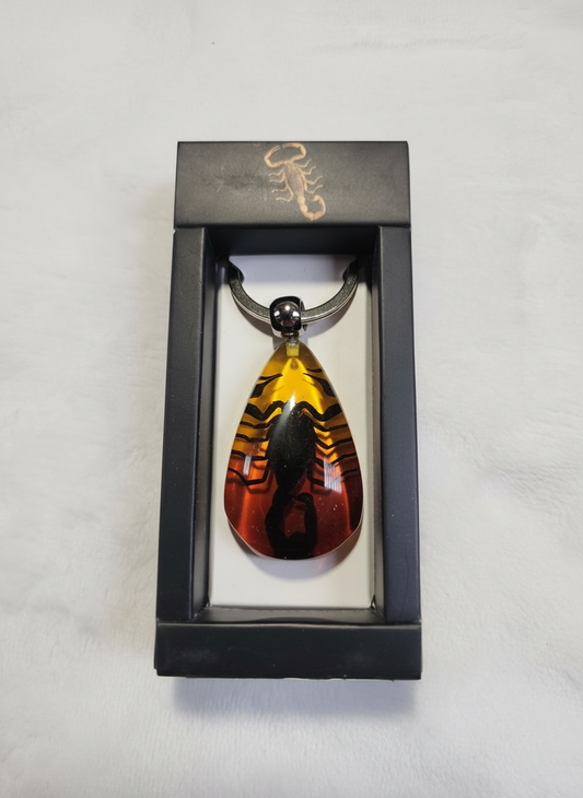 Enhanced amber scorpion keyring photo 1