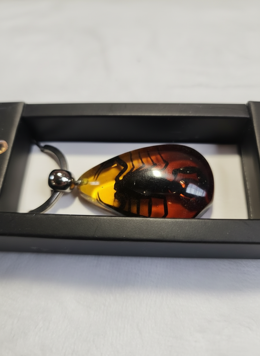Enhanced amber scorpion photo 2 - close-up details