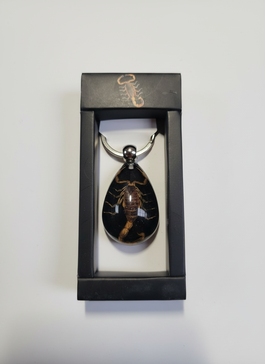 Enhanced black scorpion keyring photo 1