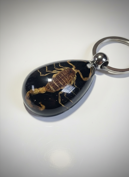 Enhanced black scorpion keyring photo 2 - alternate angle