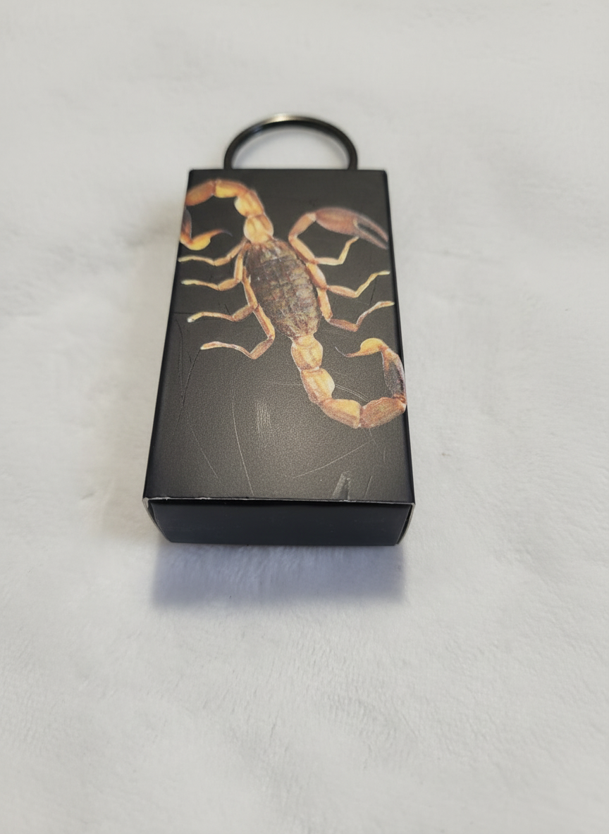 Enhanced black scorpion keyring photo 4 - close-up