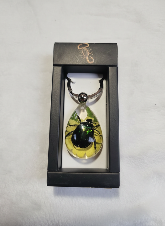 Enhanced product photo 1