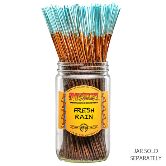 Fresh Rain Incense 10 Sticks - Clean Spring Shower Scent | Friendly Finds