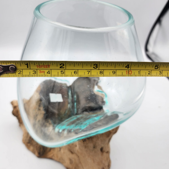 Clear glass container with a piece of driftwood inside, measured by a tape measure.
