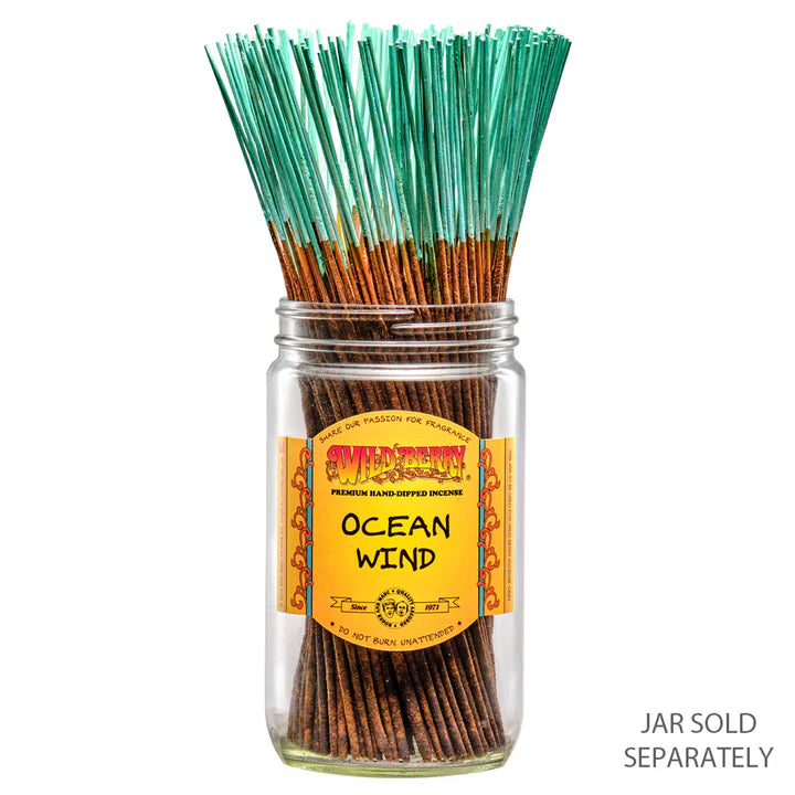 Ocean Wind Incense 10 Sticks - Fresh Coastal Scent | Friendly Finds