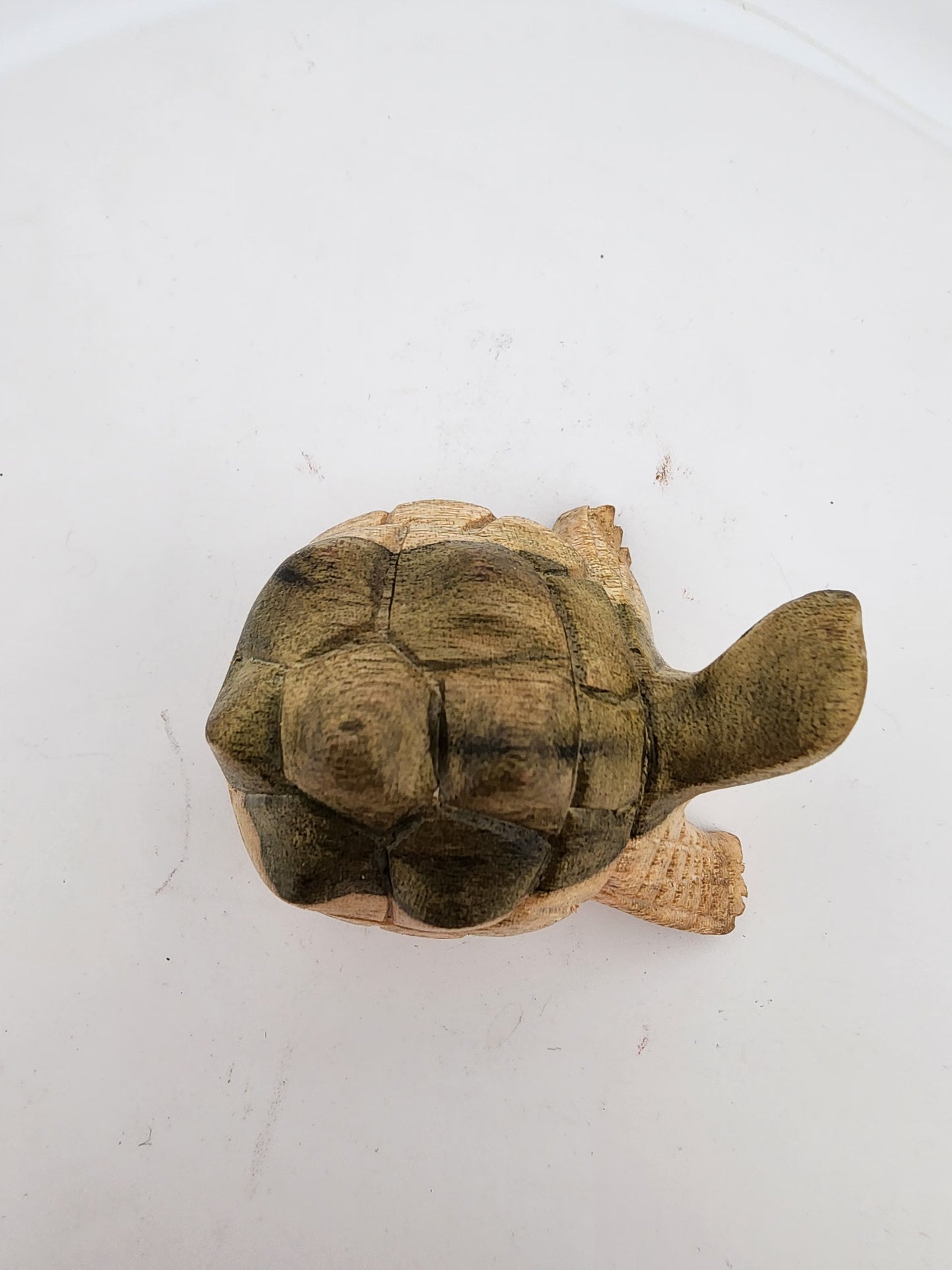 Wooden turtle figurine on a white background