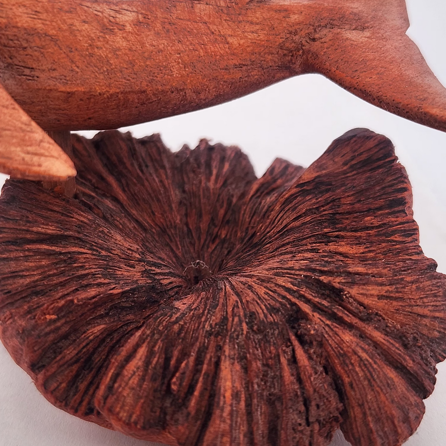Wooden sculpture of a fish on top of a wooden coral-like structure on a white background