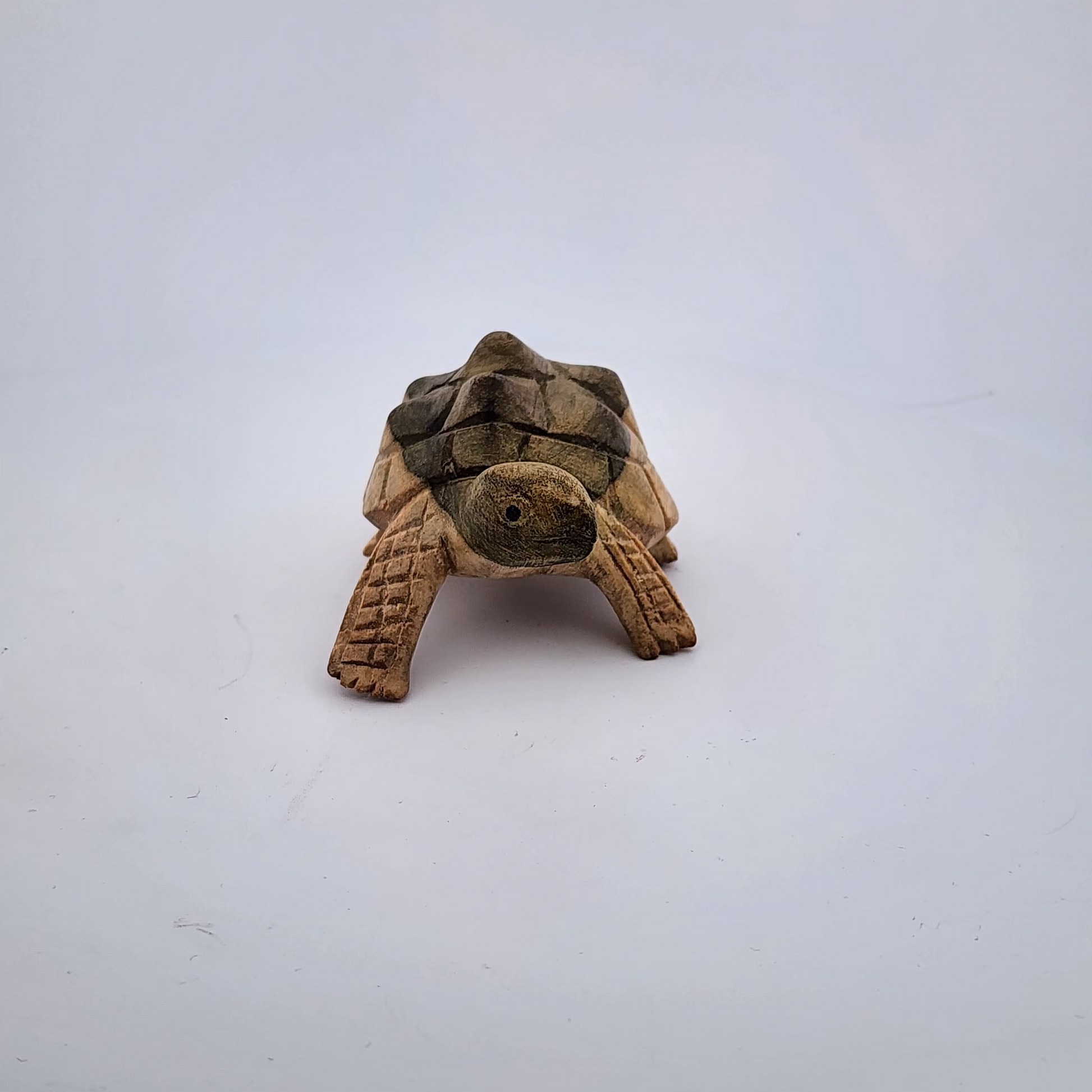 Small turtle figurine on a white background