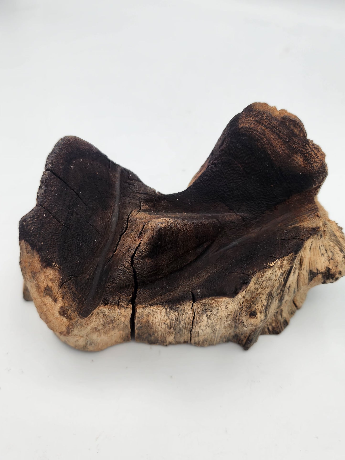 Wooden log with a rough texture on a white background