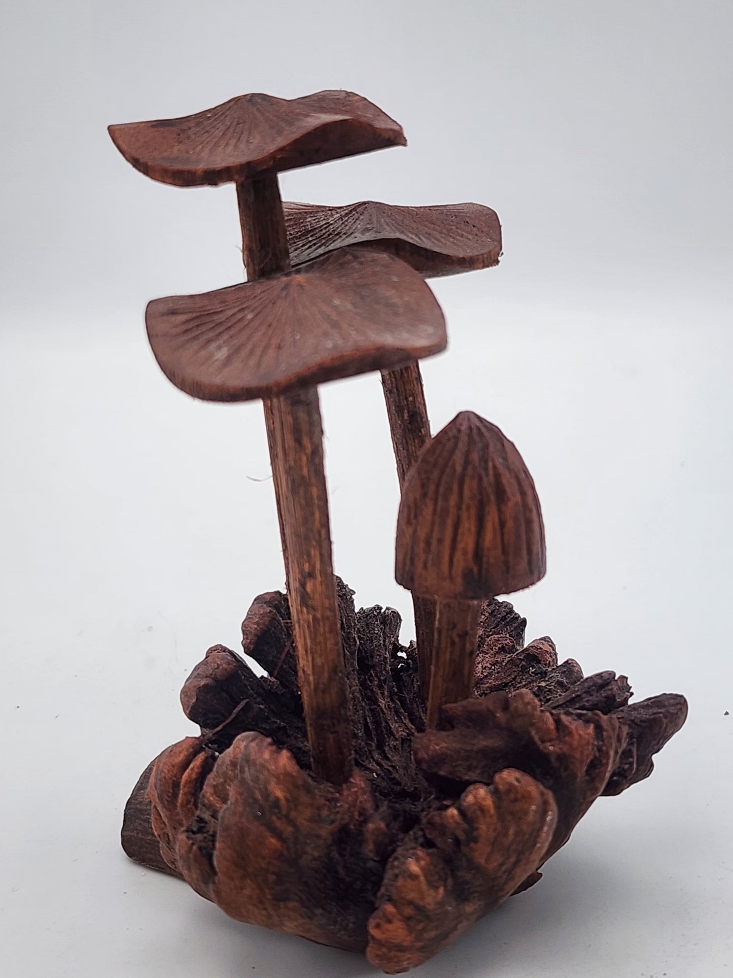 Hand-Carved Soro Wood Mushroom Sculpture