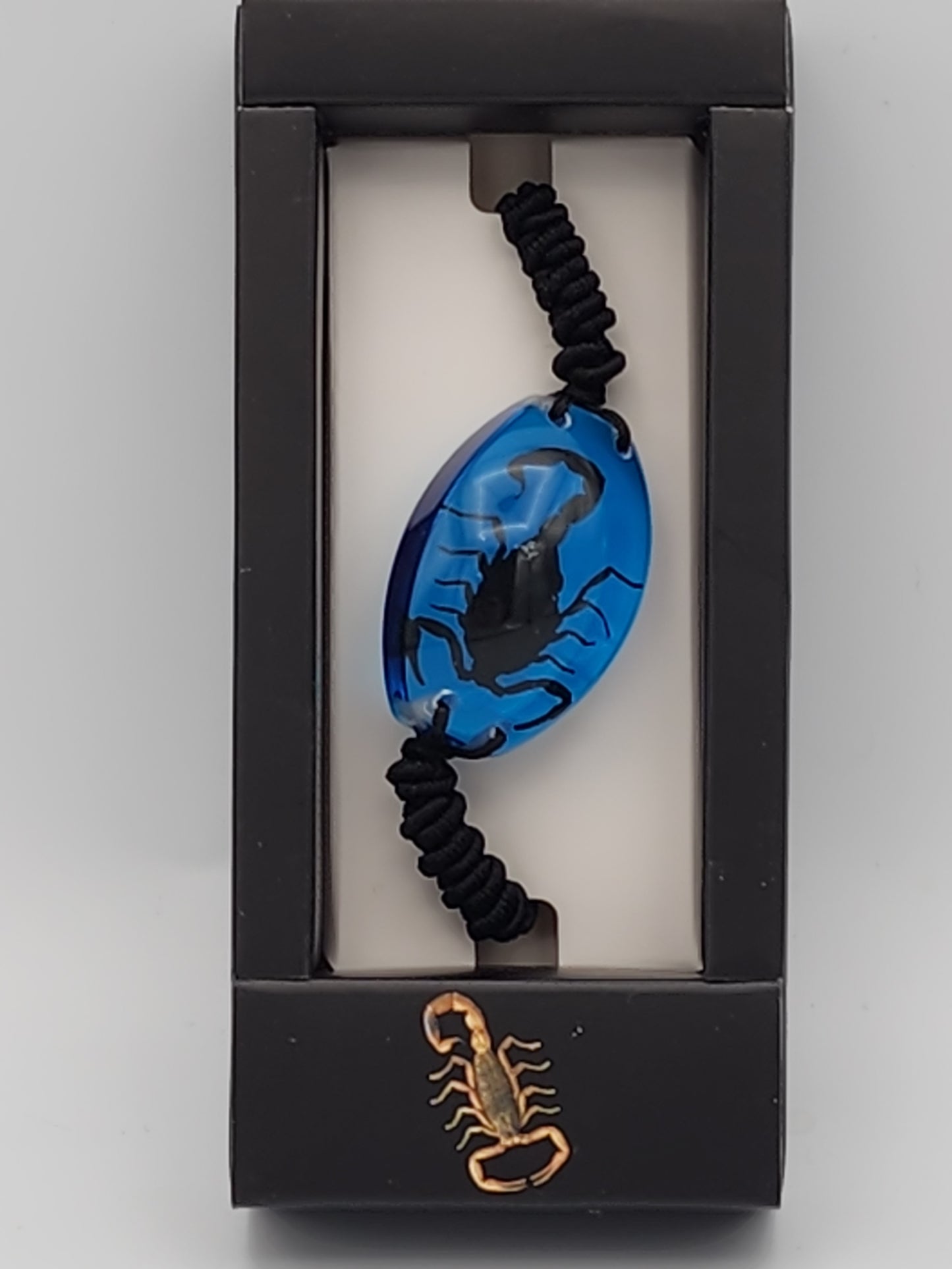 Blue Scorpion Resin Bracelet - Adjustable Real Insect Jewelry