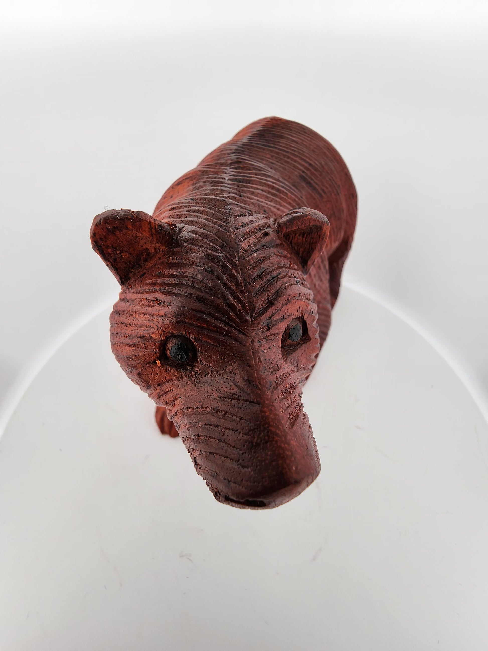 Brown ceramic bear head on a white background