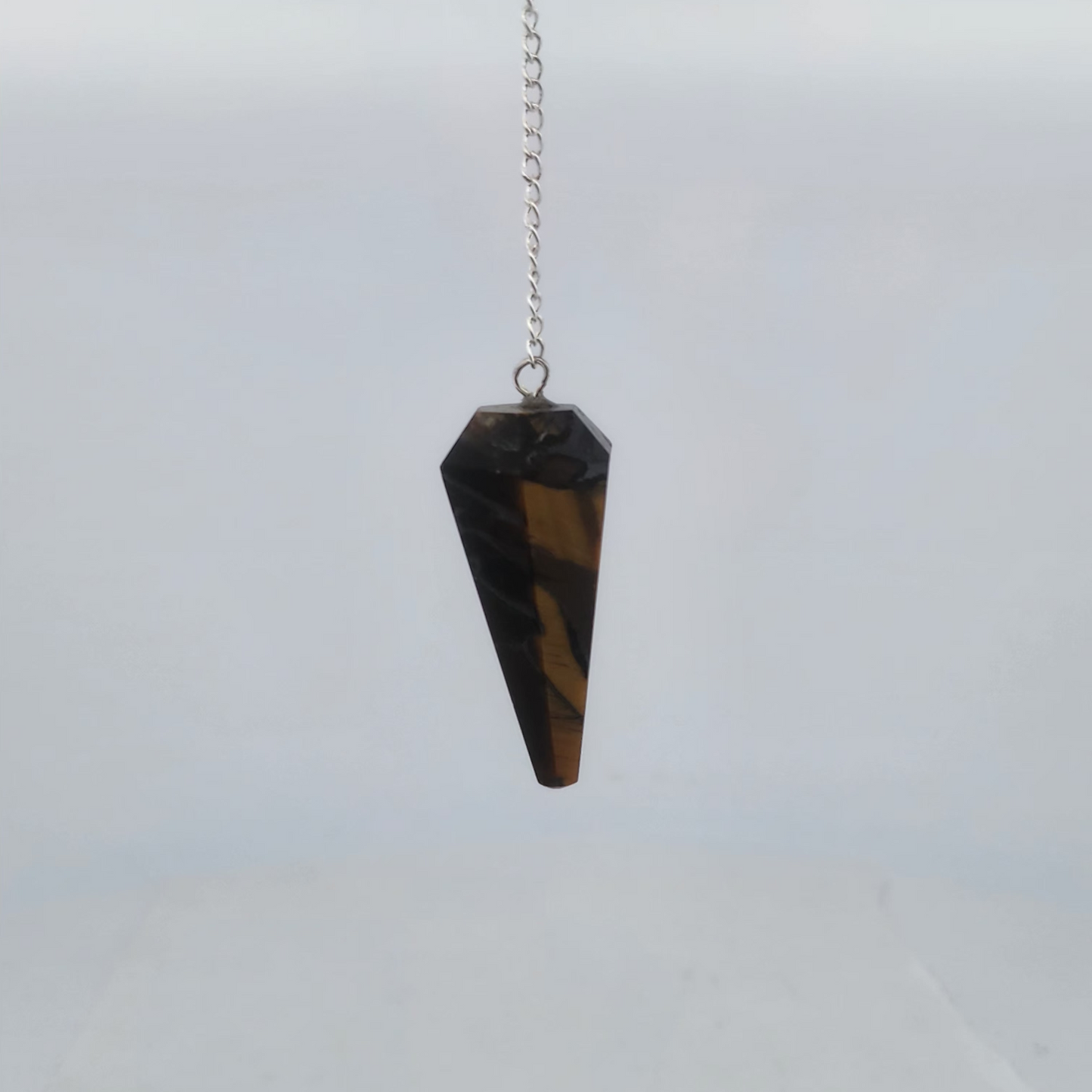 Tortoiseshell pendulum on a chain against a light gray background