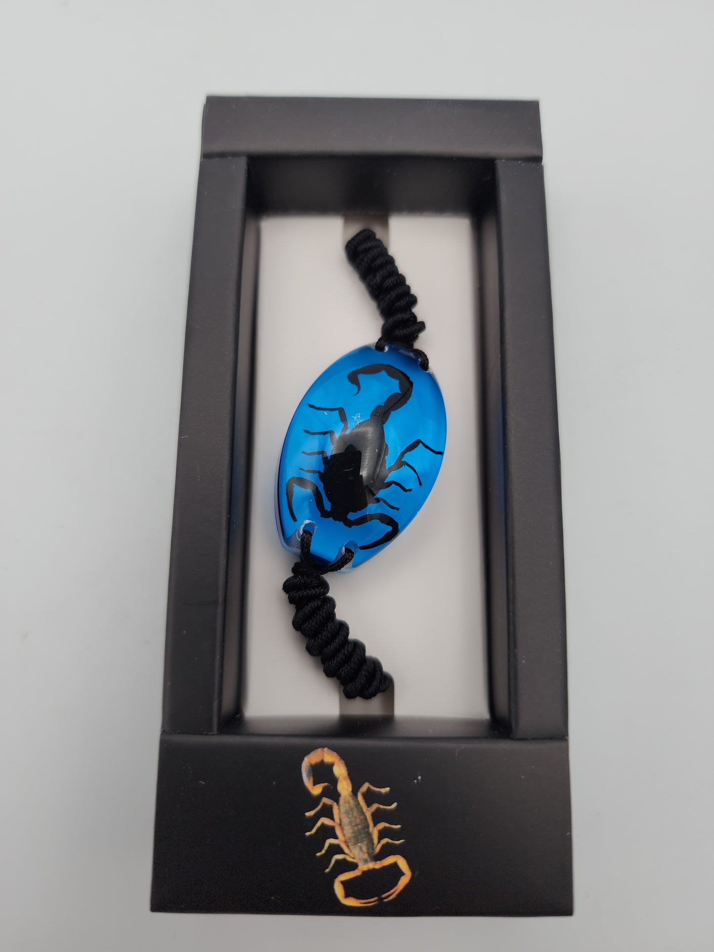 Blue Scorpion Resin Bracelet - Adjustable Real Insect Jewelry