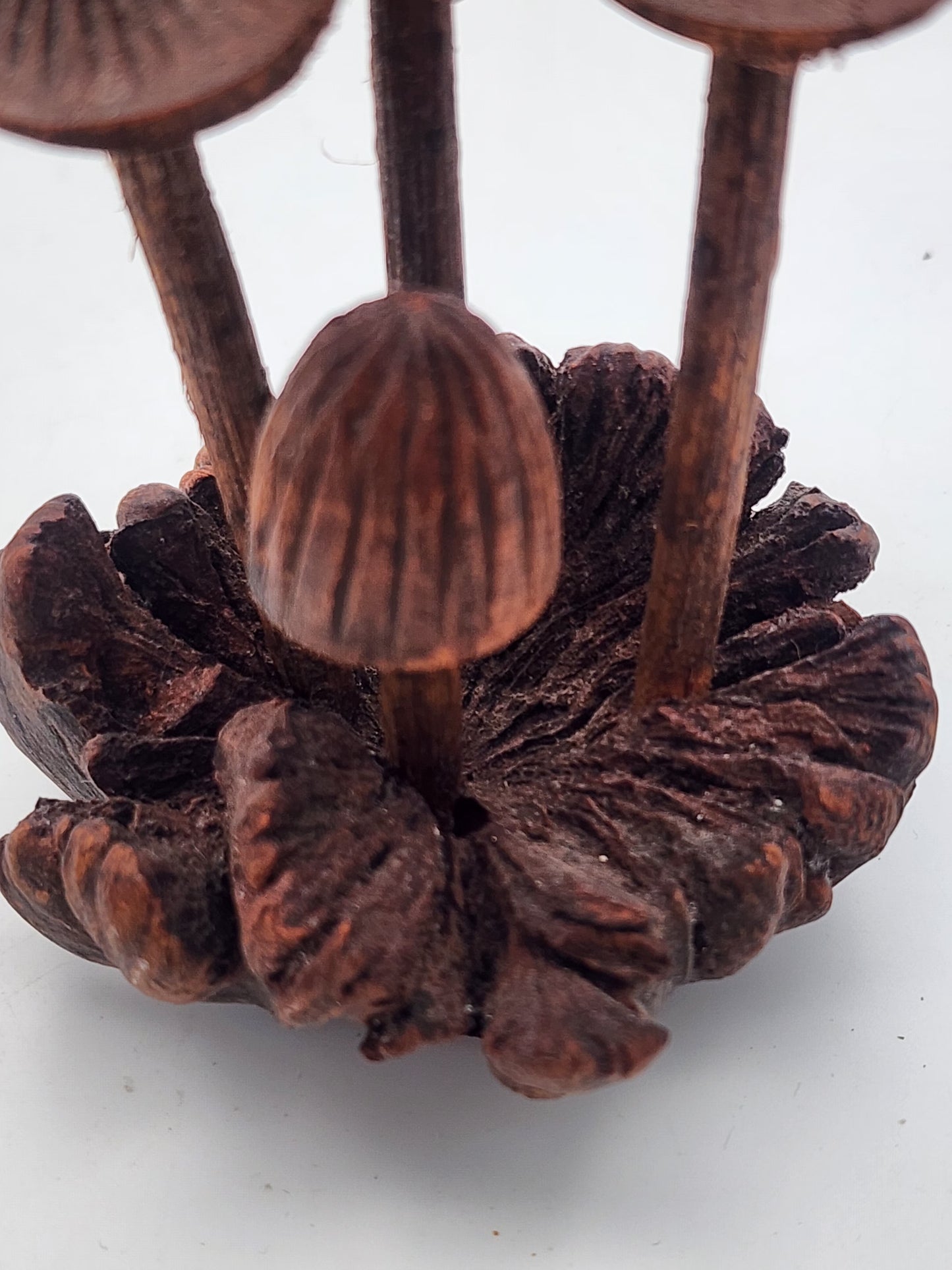 Hand-Carved Soro Wood Mushroom Sculpture