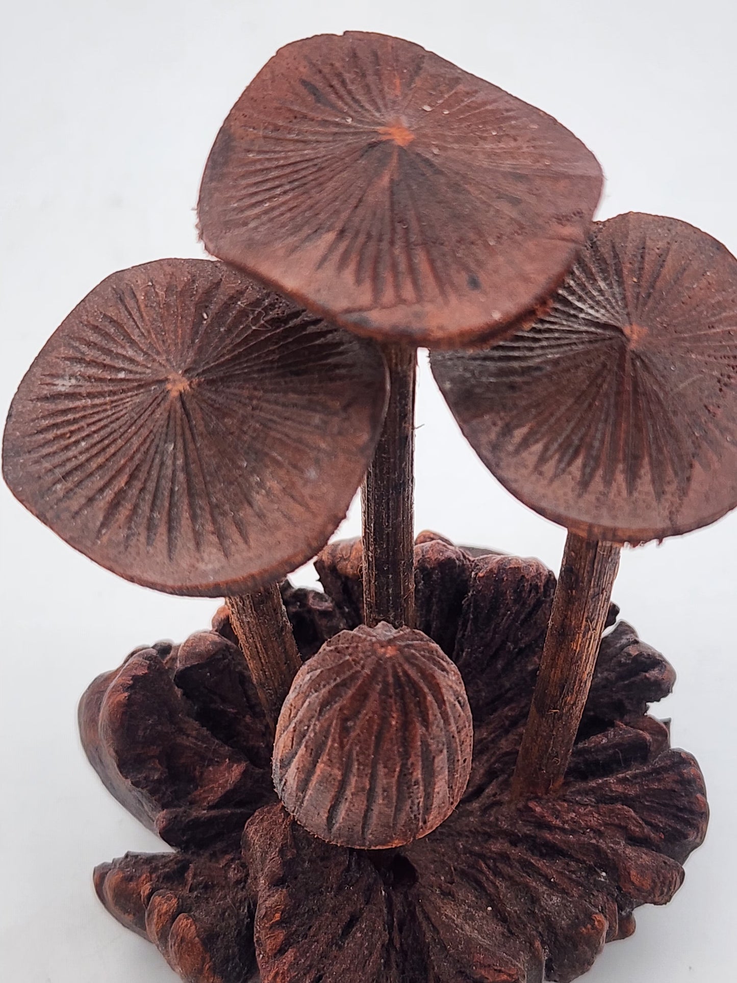 Hand-Carved Soro Wood Mushroom Sculpture