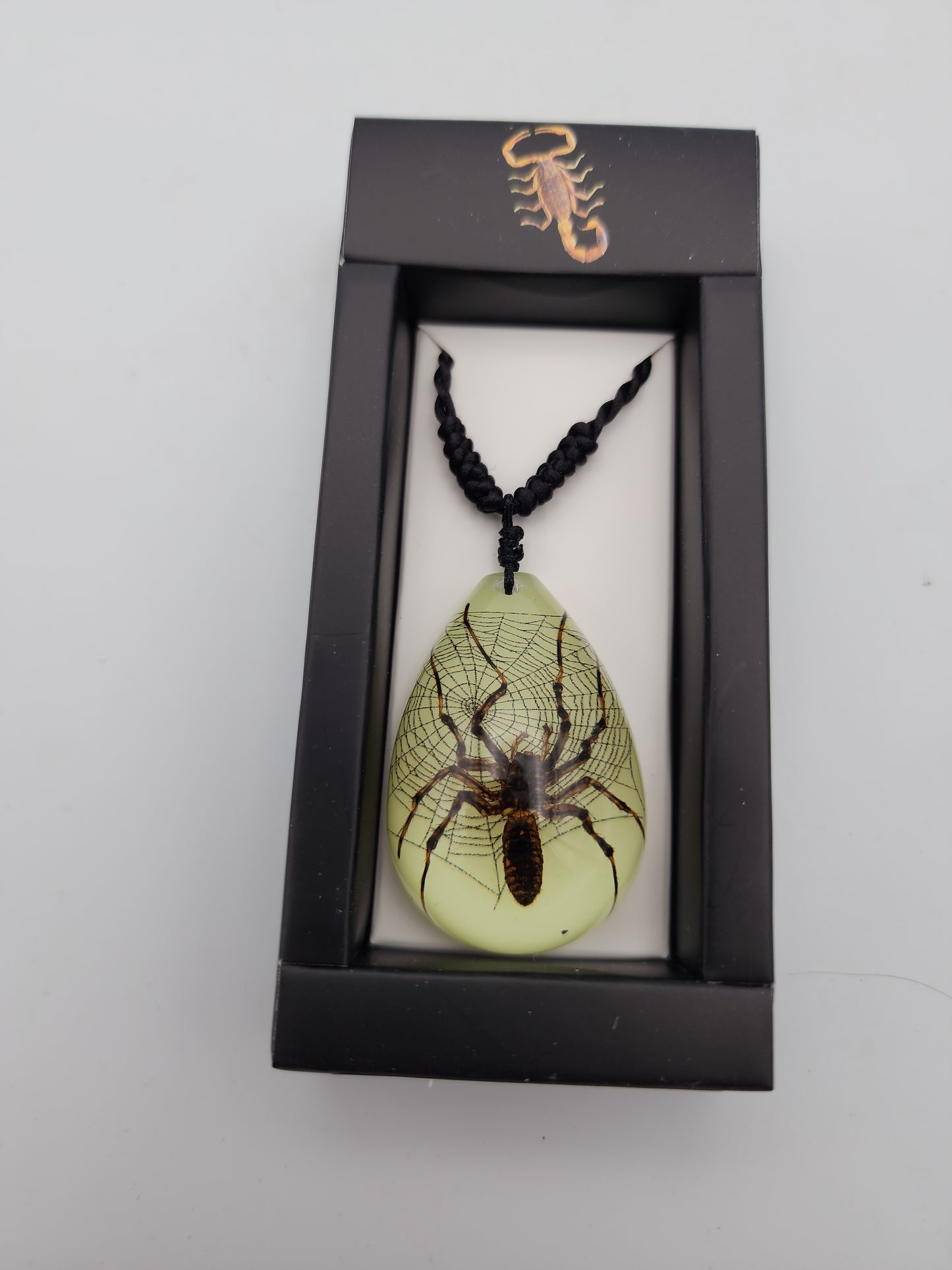 Glow-in-the-Dark Spider Resin Pendant Necklace - Real Specimen with Web