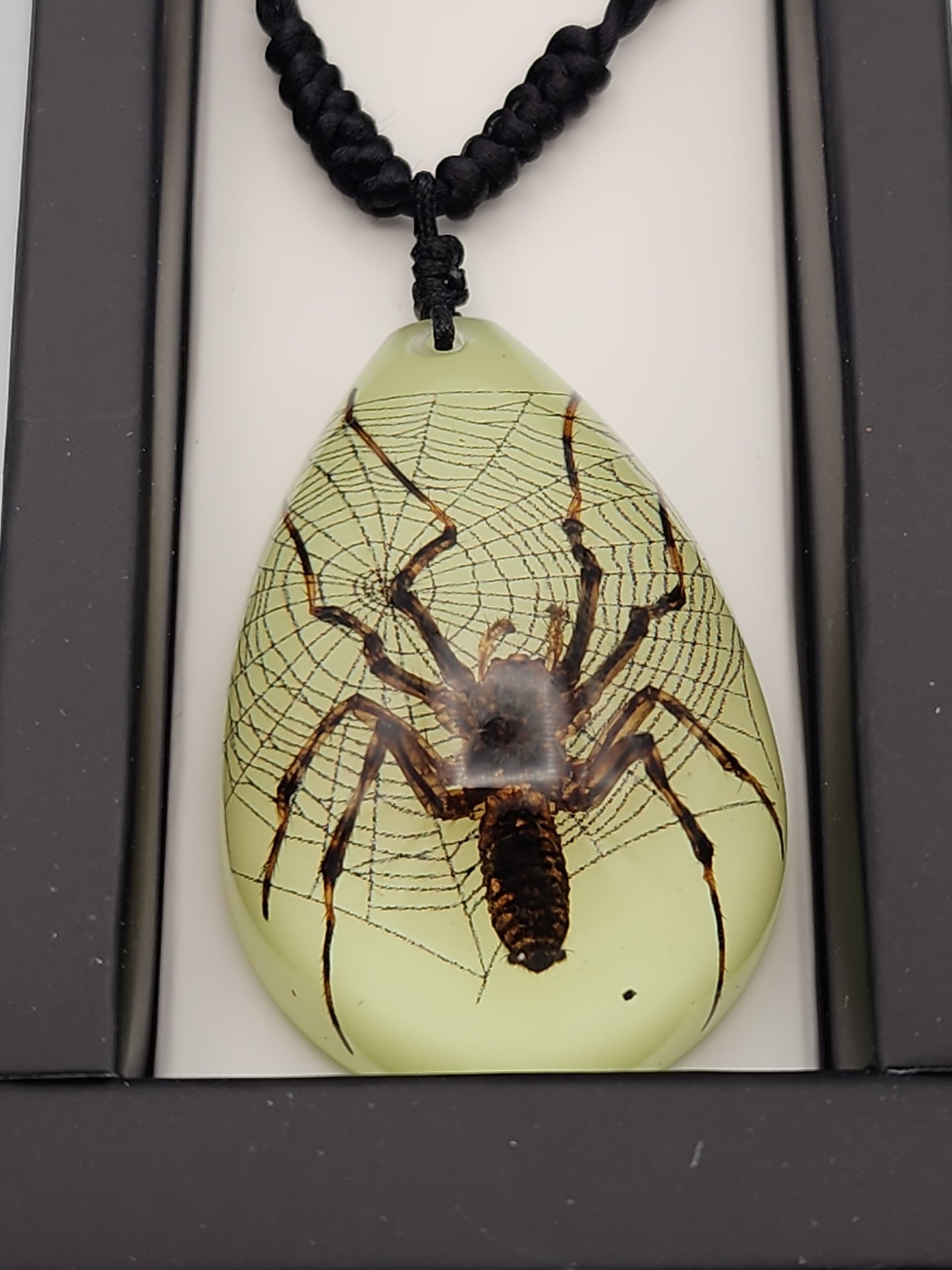 Glow-in-the-Dark Spider Resin Pendant Necklace - Real Specimen with Web