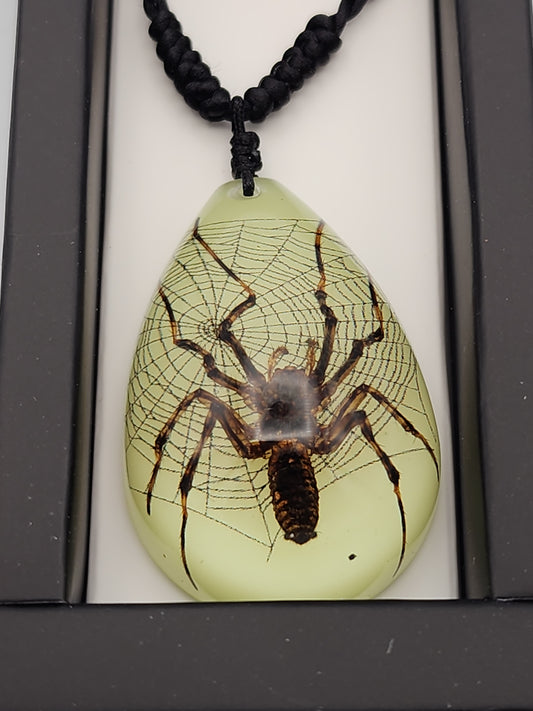 Glow-in-the-Dark Spider Resin Pendant Necklace - Real Specimen with Web