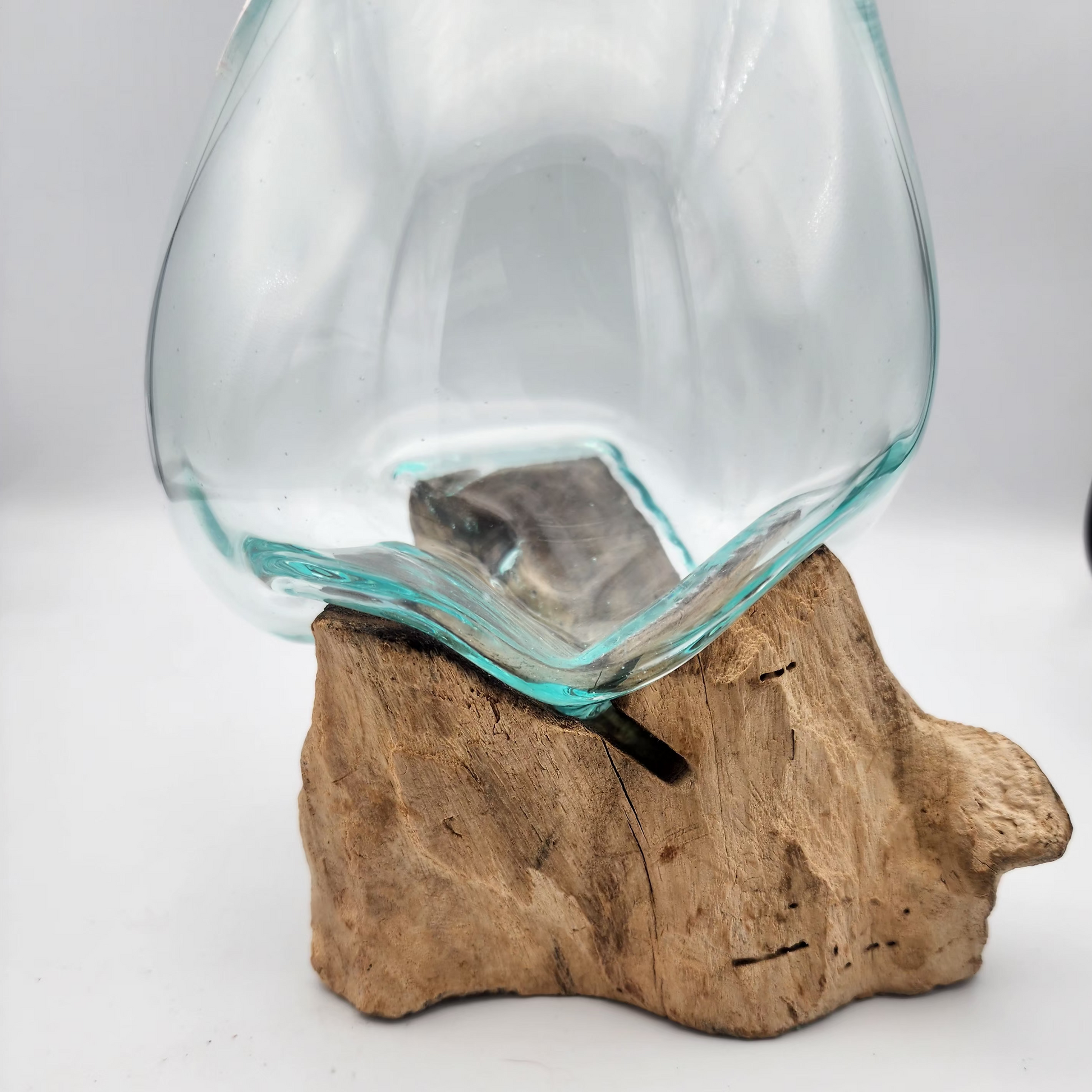Clear glass vase on a piece of driftwood against a white background
