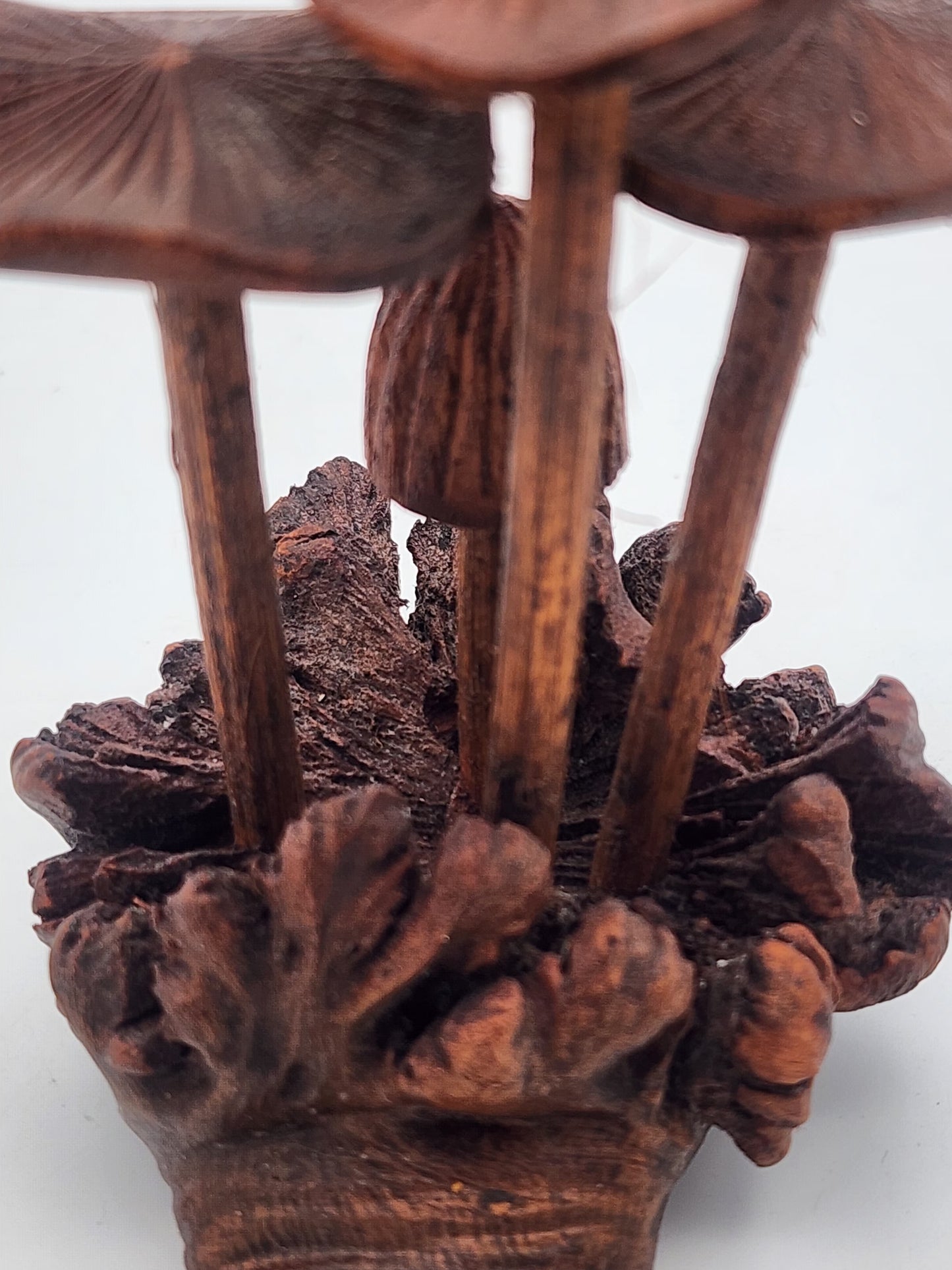 Hand-Carved Soro Wood Mushroom Sculpture